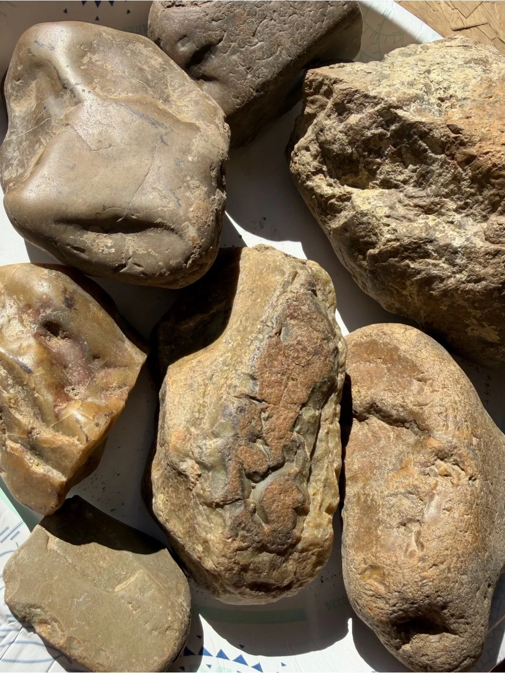 N/A collection jasper